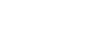 White logo with 'vision' text
